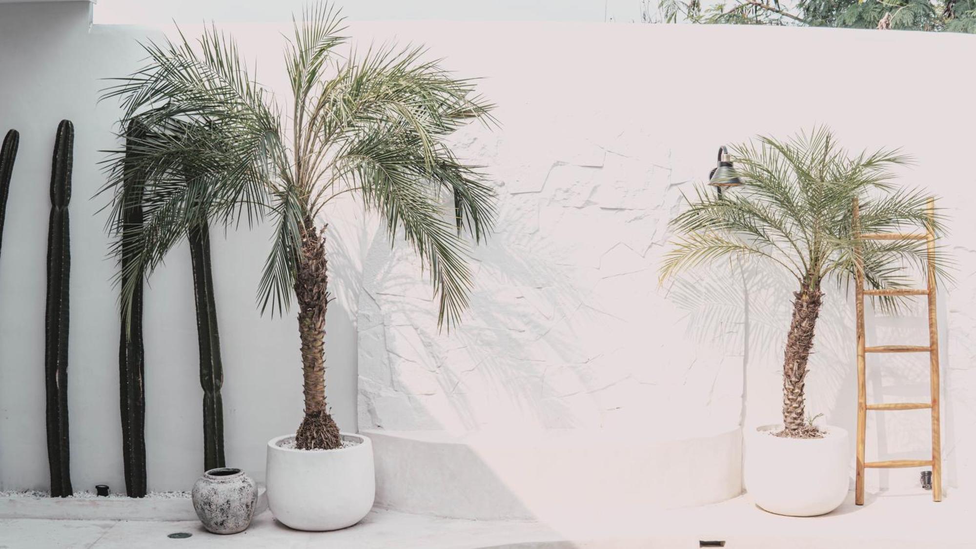 Bohemian Jogja Villas With Private Pool Kejayan 외부 사진